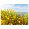 Designart - Little Yellow Flowers over Seashore - Large Flower Canvas Art Print